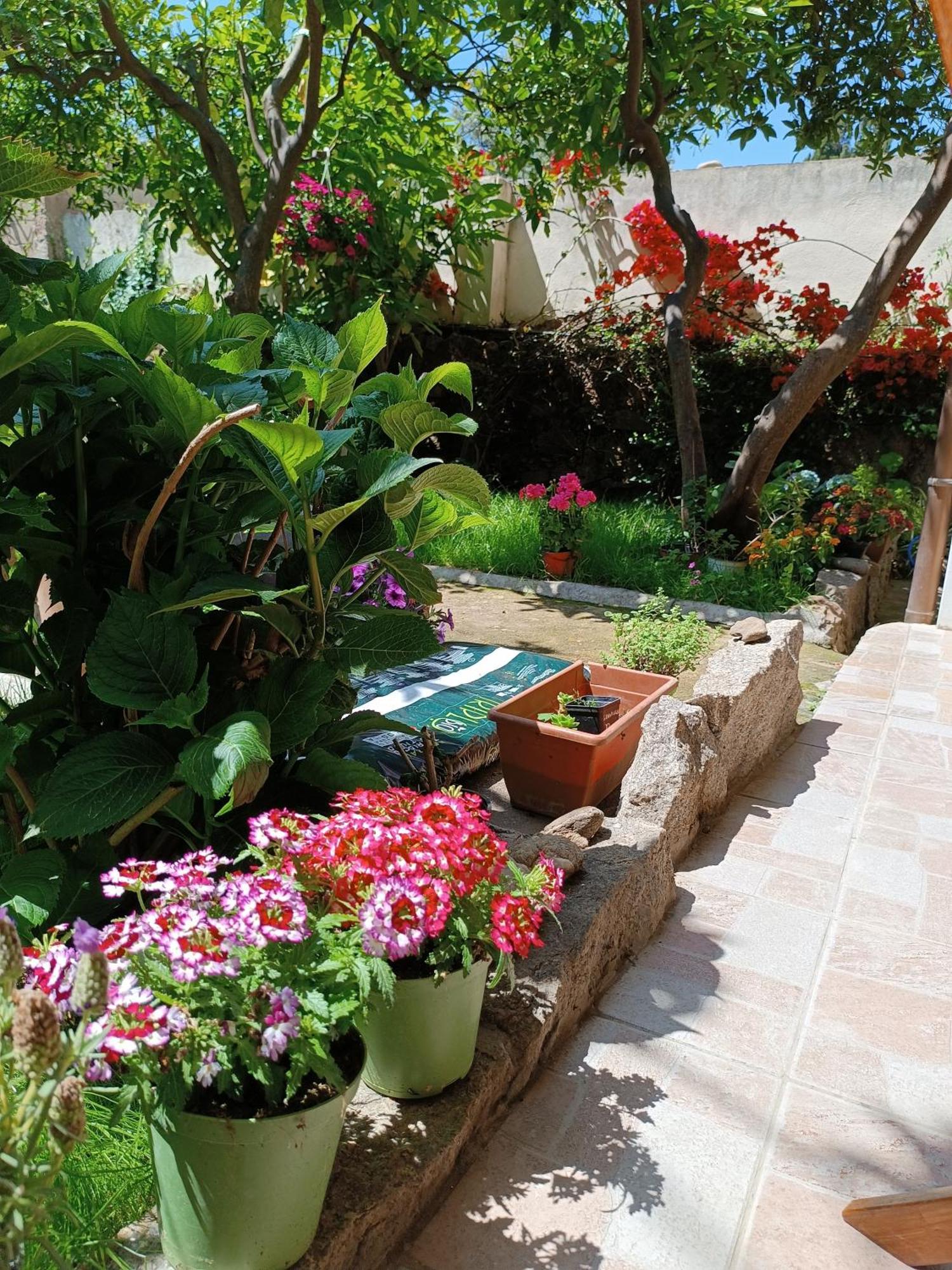 Domo Janas Guesthouse Olbia Exterior photo
